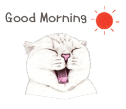 Nala and White Coffee Cat (English) sticker #14331493