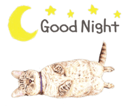 Nala and White Coffee Cat (English) sticker #14331494