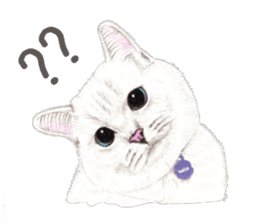 Nala and White Coffee Cat (English) sticker #14331497