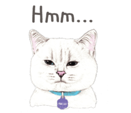Nala and White Coffee Cat (English) sticker #14331498