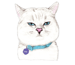 Nala and White Coffee Cat (English) sticker #14331499