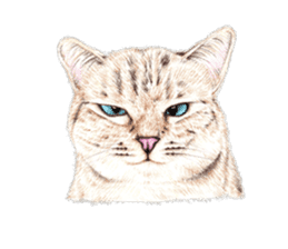 Nala and White Coffee Cat (English) sticker #14331500