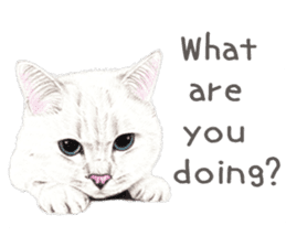 Nala and White Coffee Cat (English) sticker #14331503