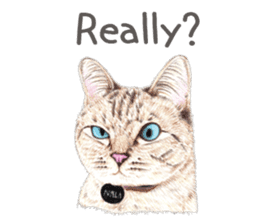 Nala and White Coffee Cat (English) sticker #14331508