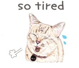 Nala and White Coffee Cat (English) sticker #14331510