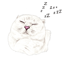 Nala and White Coffee Cat (English) sticker #14331511