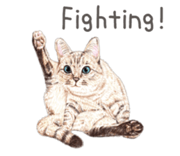 Nala and White Coffee Cat (English) sticker #14331517