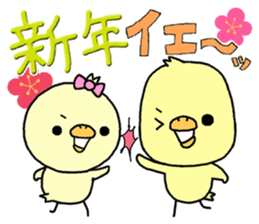 Chick of Naniwa5 sticker #14333058