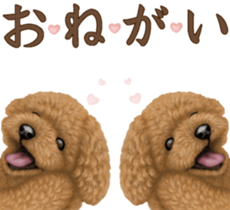 Toy Poodle & Toy Poodle. family sticker #14334990