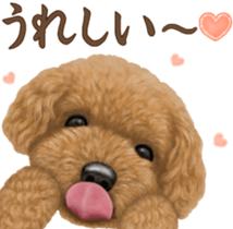 Toy Poodle & Toy Poodle. family sticker #14334991