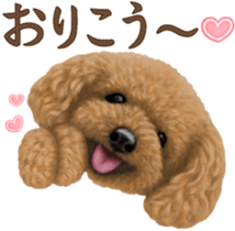 Toy Poodle & Toy Poodle. family sticker #14334992