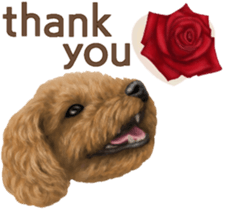 Toy Poodle & Toy Poodle. family sticker #14334993