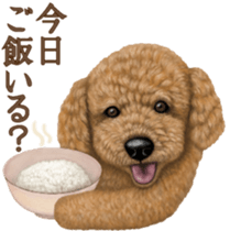 Toy Poodle & Toy Poodle. family sticker #14334994