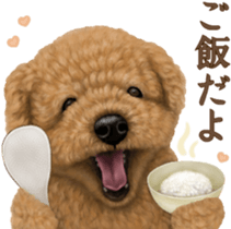 Toy Poodle & Toy Poodle. family sticker #14334996