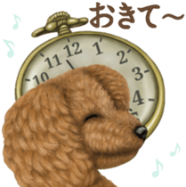 Toy Poodle & Toy Poodle. family sticker #14334998