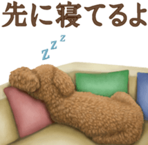 Toy Poodle & Toy Poodle. family sticker #14335004