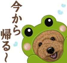 Toy Poodle & Toy Poodle. family sticker #14335006