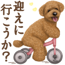 Toy Poodle & Toy Poodle. family sticker #14335007