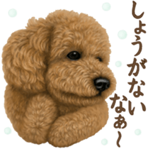 Toy Poodle & Toy Poodle. family sticker #14335008