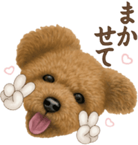 Toy Poodle & Toy Poodle. family sticker #14335009