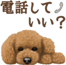 Toy Poodle & Toy Poodle. family sticker #14335010