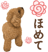 Toy Poodle & Toy Poodle. family sticker #14335012