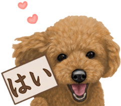 Toy Poodle & Toy Poodle. family sticker #14335013