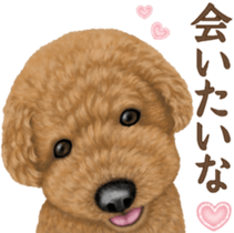 Toy Poodle & Toy Poodle. family sticker #14335014