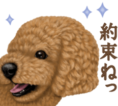 Toy Poodle & Toy Poodle. family sticker #14335015