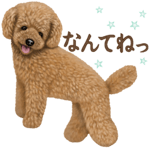 Toy Poodle & Toy Poodle. family sticker #14335016