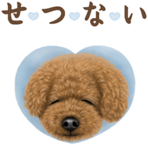 Toy Poodle & Toy Poodle. family sticker #14335018