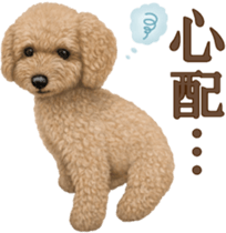 Toy Poodle & Toy Poodle. family sticker #14335019