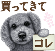 Toy Poodle & Toy Poodle. family sticker #14335020