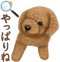 Toy Poodle & Toy Poodle. family sticker #14335025