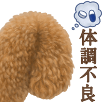 Toy Poodle & Toy Poodle. family sticker #14335026