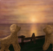 Toy Poodle & Toy Poodle. family sticker #14335029