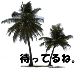 Saipan's sticker sticker #14335743