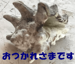 Saipan's sticker sticker #14335744