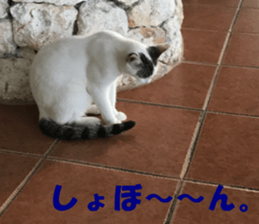 Saipan's sticker sticker #14335746