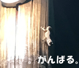 Saipan's sticker sticker #14335748