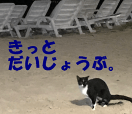 Saipan's sticker sticker #14335749