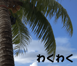 Saipan's sticker sticker #14335774