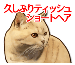 Puns on Cat Family sticker #14336392