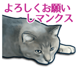 Puns on Cat Family sticker #14336394