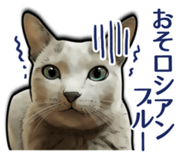 Puns on Cat Family sticker #14336403