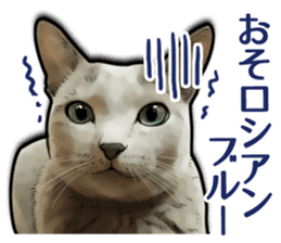 Puns on Cat Family sticker #14336403