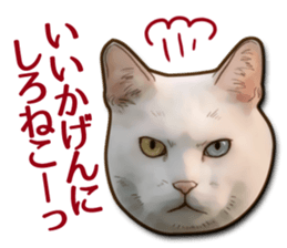 Puns on Cat Family sticker #14336407