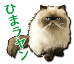 Puns on Cat Family sticker #14336411