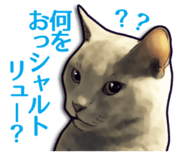 Puns on Cat Family sticker #14336414