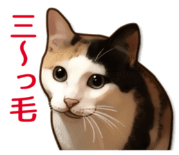 Puns on Cat Family sticker #14336419